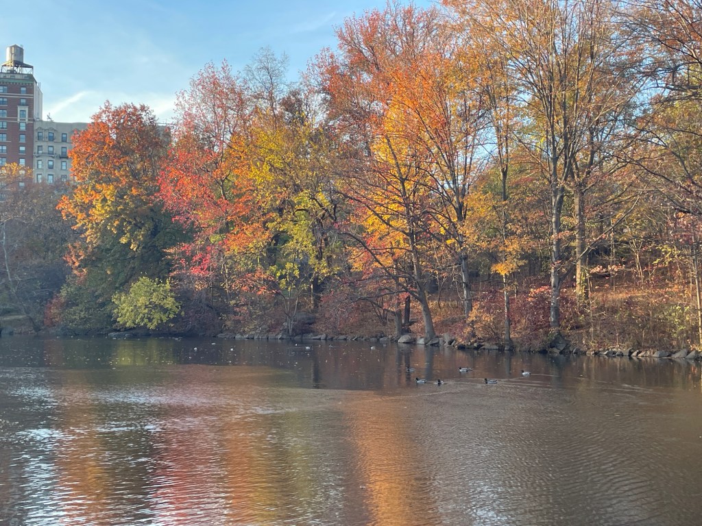 It’s Beginning to Look A Lot&nbsp;Like….